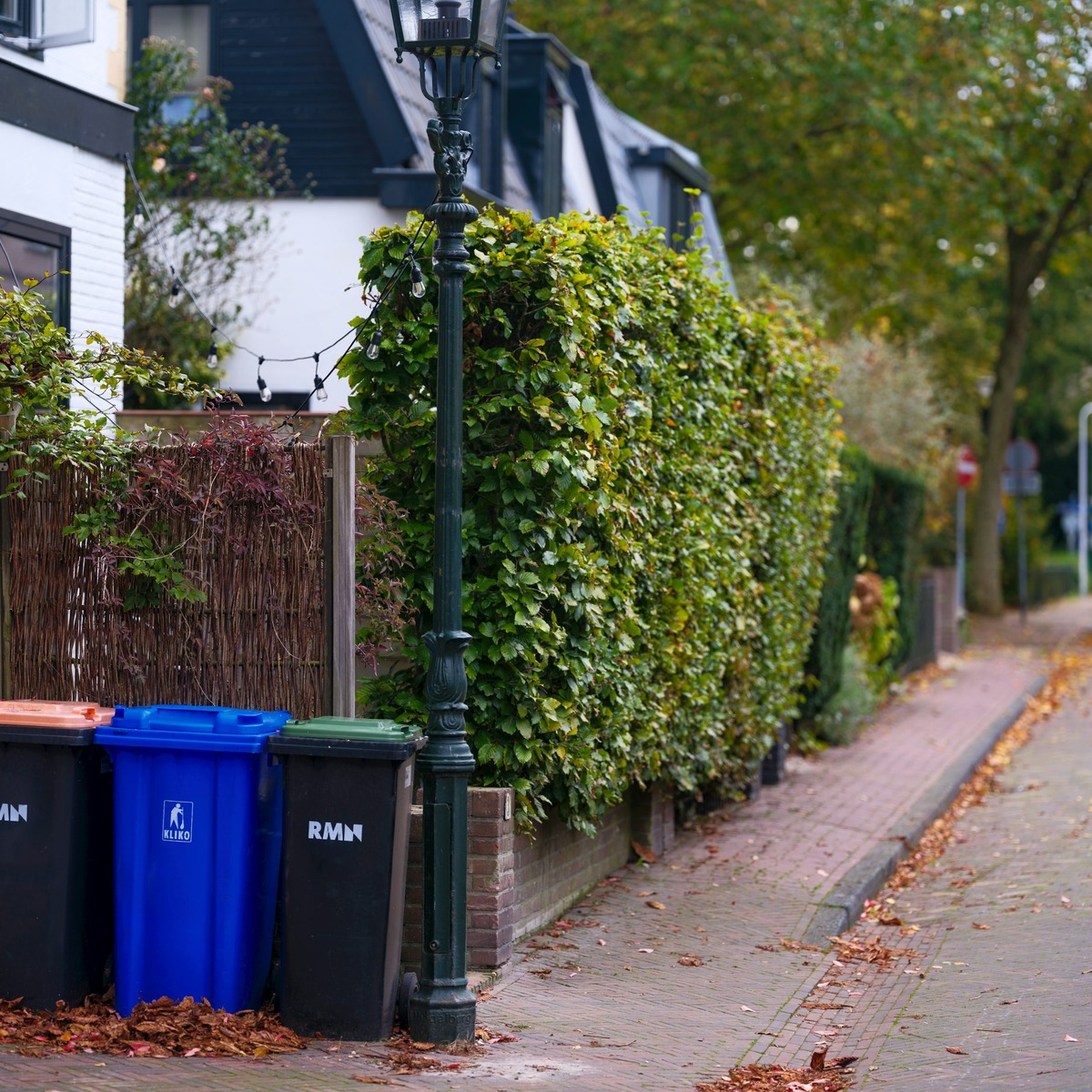 Commercial waste bins positioned along a property for organized debris collection, representing Commercial Dumpster Rental in Gallatin, TN.